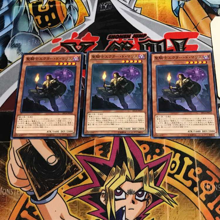 聖騎士エクター・ド・マリス 2 ノーマル 3枚セット てら