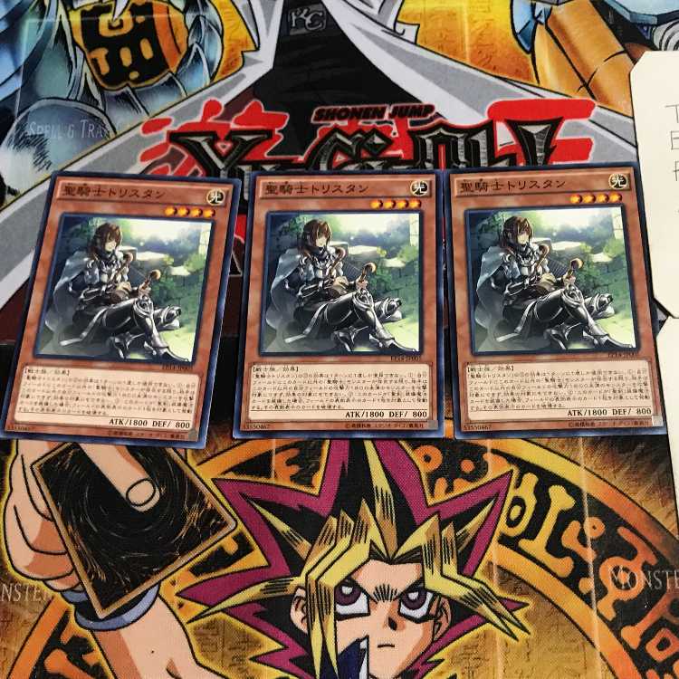 聖騎士トリスタン 3 ノーマル 3枚セット てら
