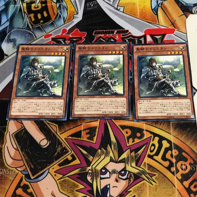 聖騎士トリスタン 8 ノーマル 3枚セット てら