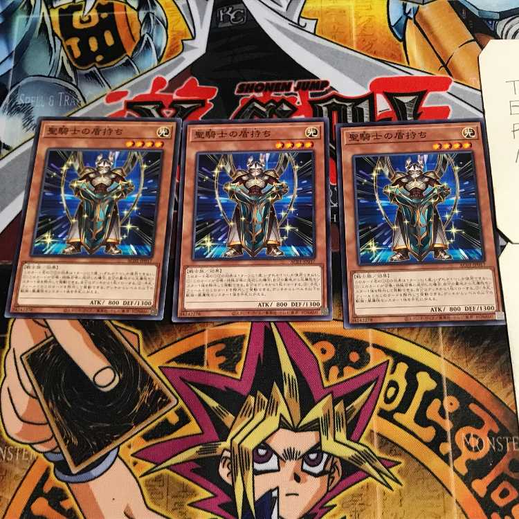 聖騎士の盾持ち 1 ノーマル 3枚セット てら