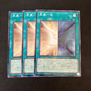 表裏一体　ノーマル　3枚