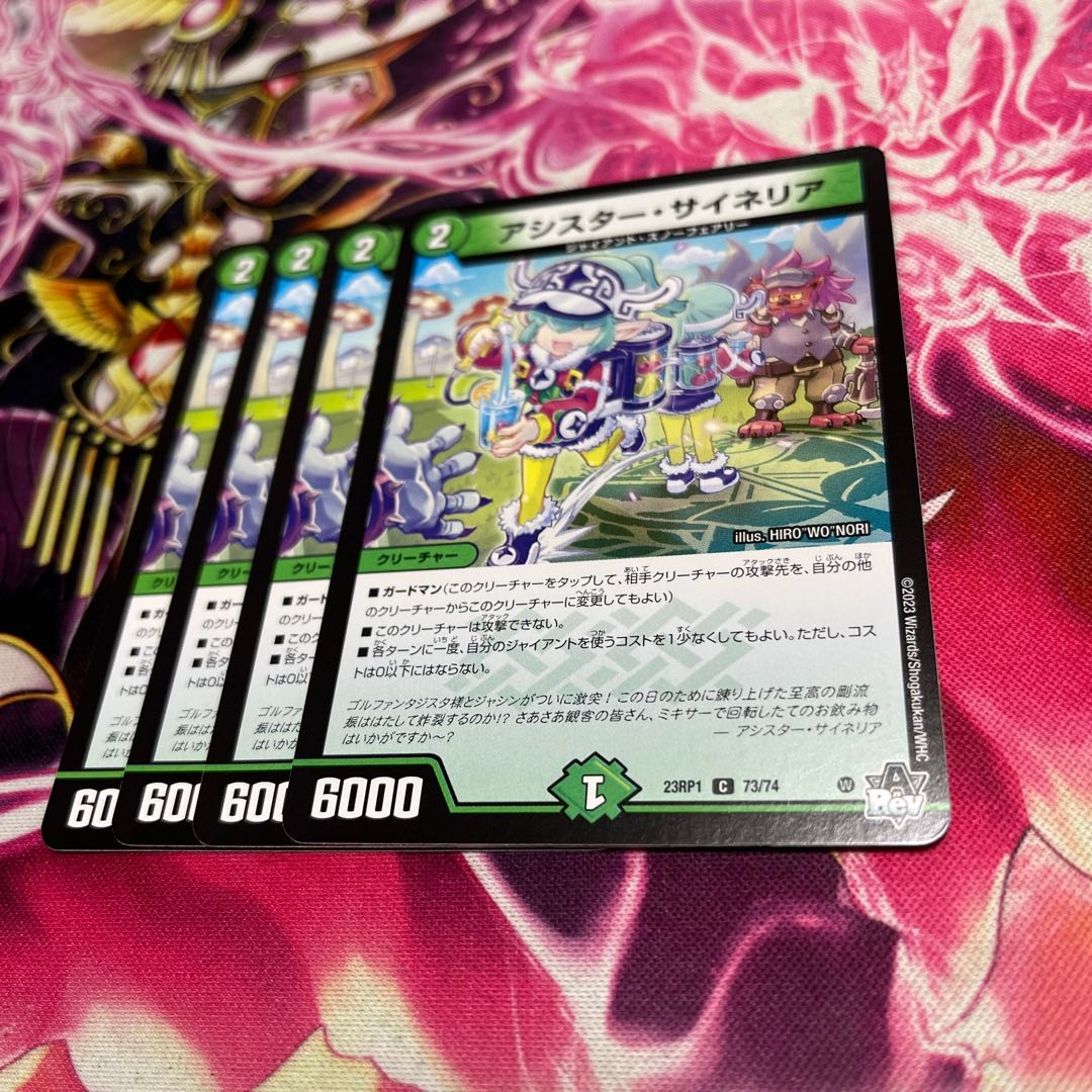 アシスター・サイネリア C 73/74 23RP1