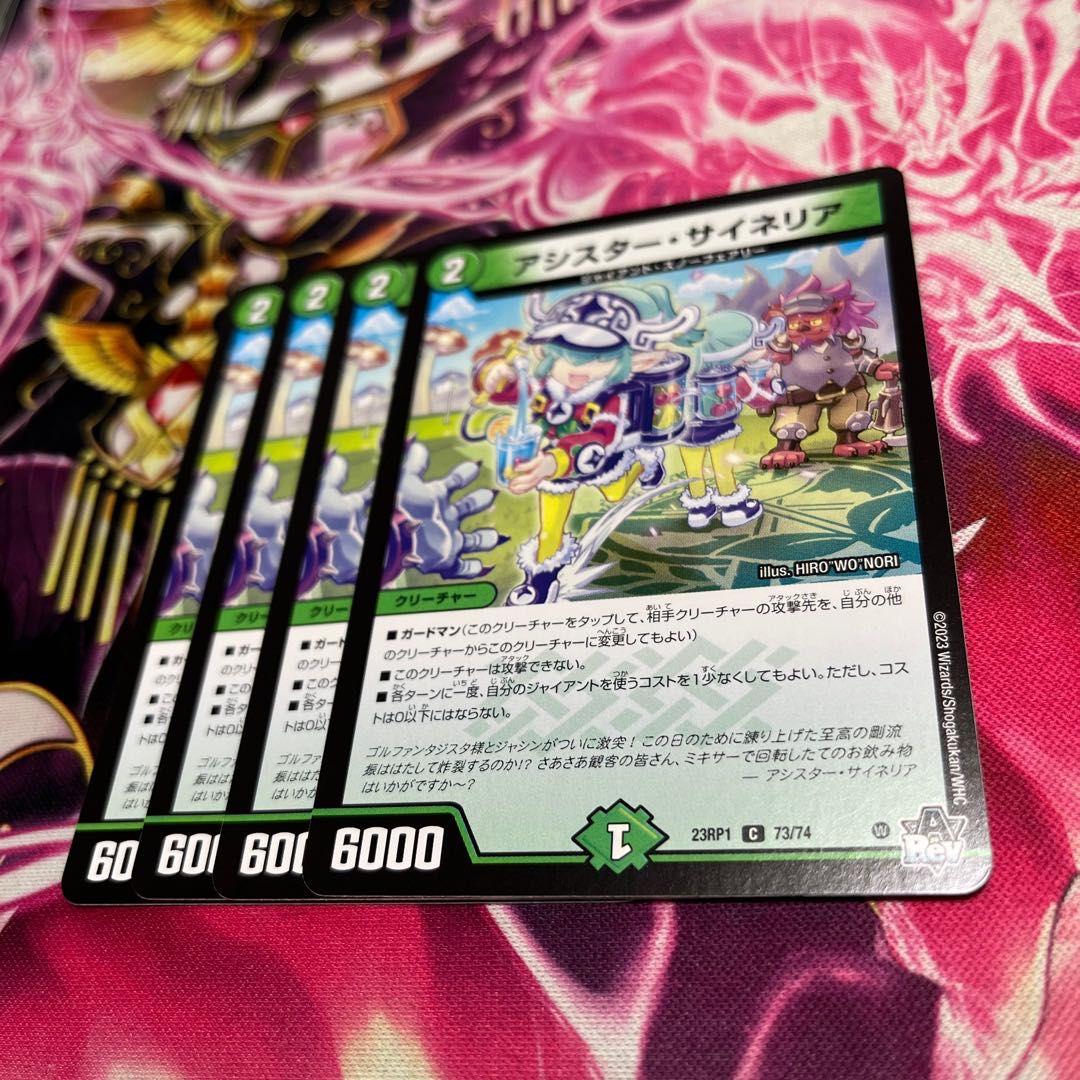 アシスター・サイネリア C 73/74 23RP1