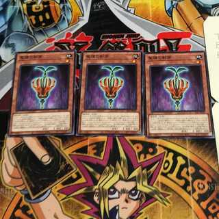 聖種の影芽 2 ノーマル 3枚セット てら