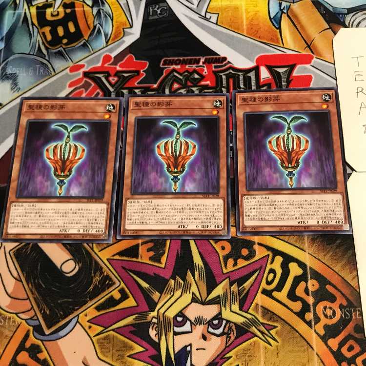 聖種の影芽 3 ノーマル 3枚セット てら