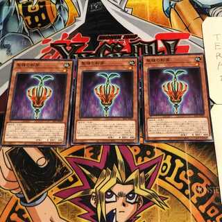 聖種の影芽 3 ノーマル 3枚セット てら