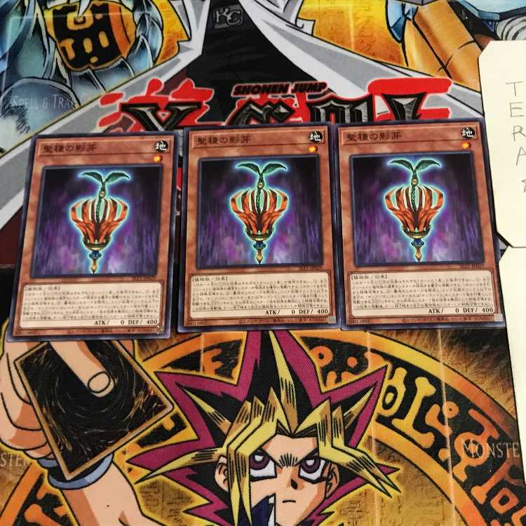 聖種の影芽 5 ノーマル 3枚セット てら