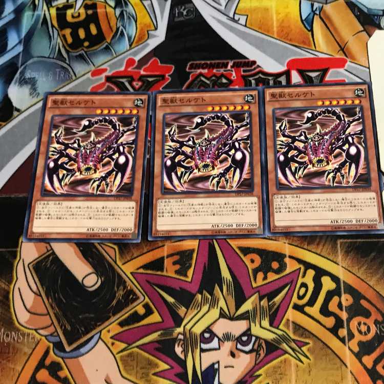 聖獣セルケト 9 ノーマル 3枚セット てら