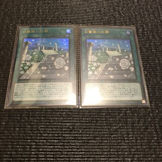 白薔薇の回廊(ウルトラ) 2枚セット