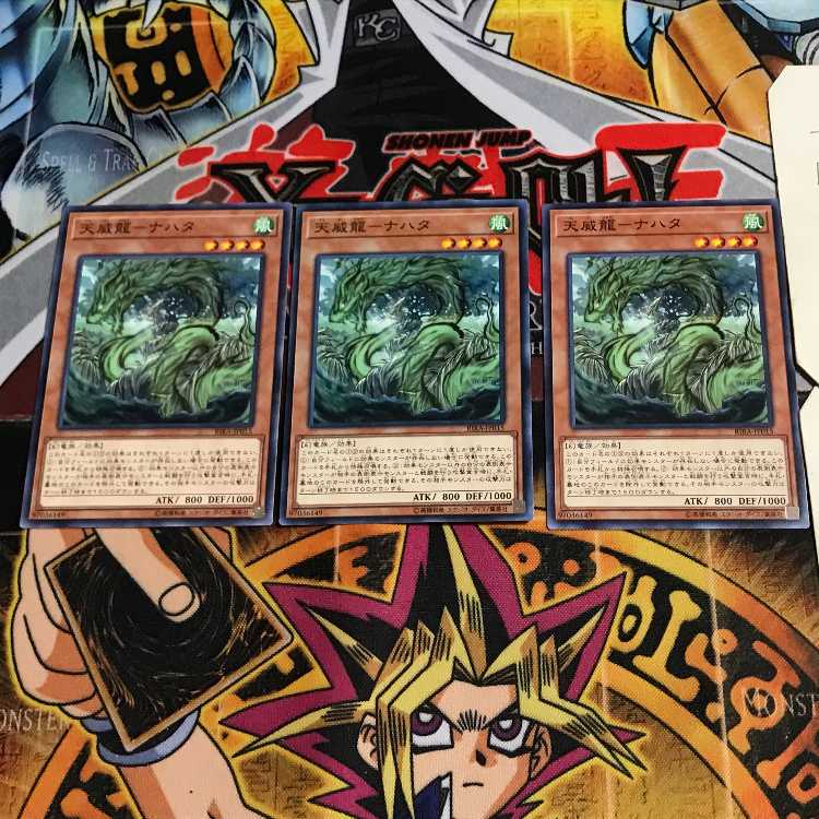 天威龍-ナハタ 10 ノーマル 3枚セット てら