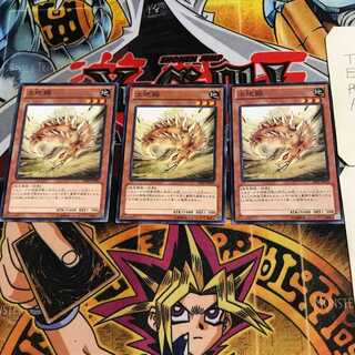 土地鋸 8 ノーマル 3枚セット てら