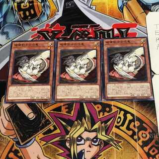 破壊剣士の伴竜 8 ノーマル 3枚セット てら