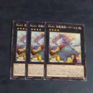 Number 41: Bagooska the Terribly Tired Tapir Normal JP044✕3