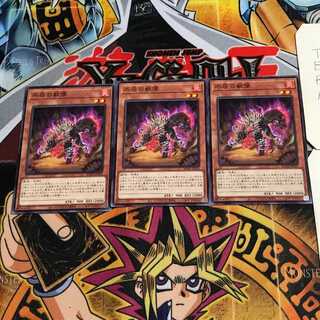 不屈の獣僕 10 ノーマル 3枚セット てら