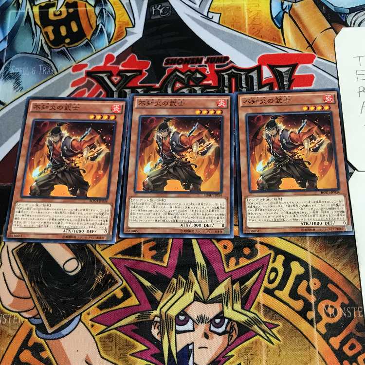 不知火の武士 10 ノーマル 3枚セット てら