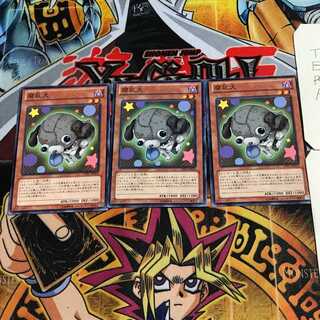 腐乱犬 3 ノーマル 3枚セット てら