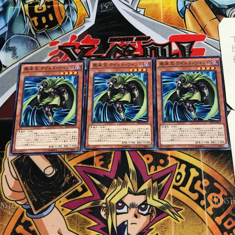 Wandering King Wildwind 6 Normal, set of 3 Tera