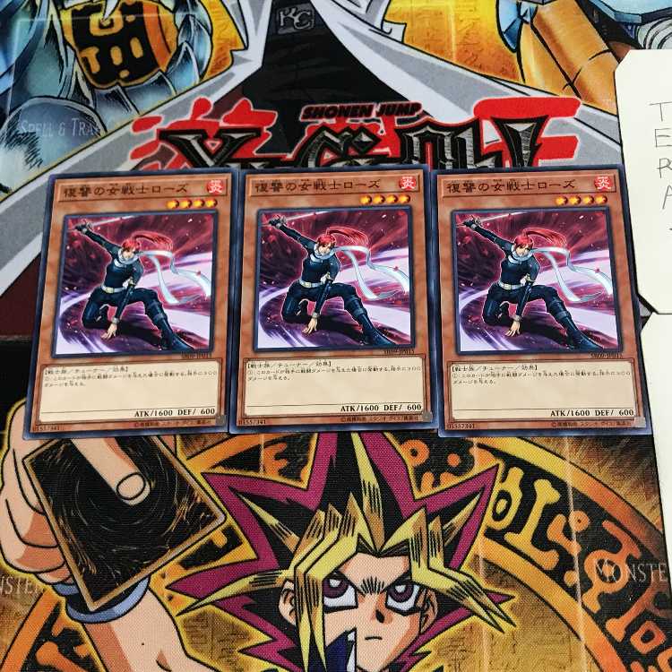 復讐の女戦士ローズ 3 ノーマル 3枚セット てら