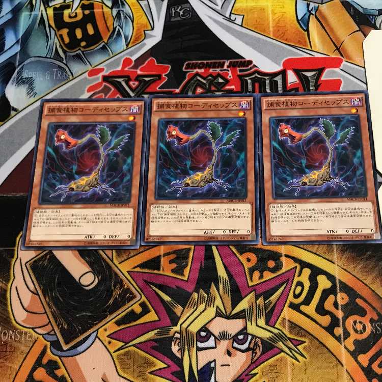 捕食植物コーディセップス 1 ノーマル 3枚セット てら