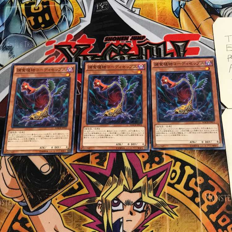 捕食植物コーディセップス 5 ノーマル 3枚セット てら