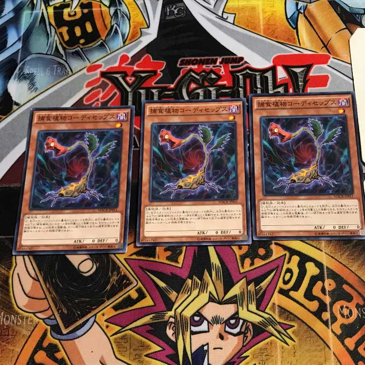 捕食植物コーディセップス 8 ノーマル 3枚セット てら