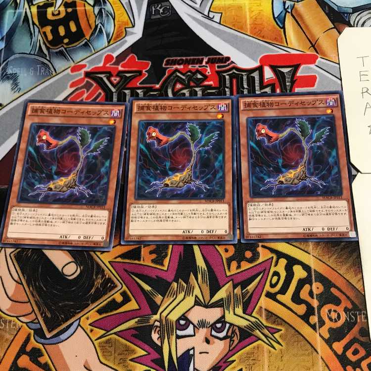 捕食植物コーディセップス 9 ノーマル 3枚セット てら