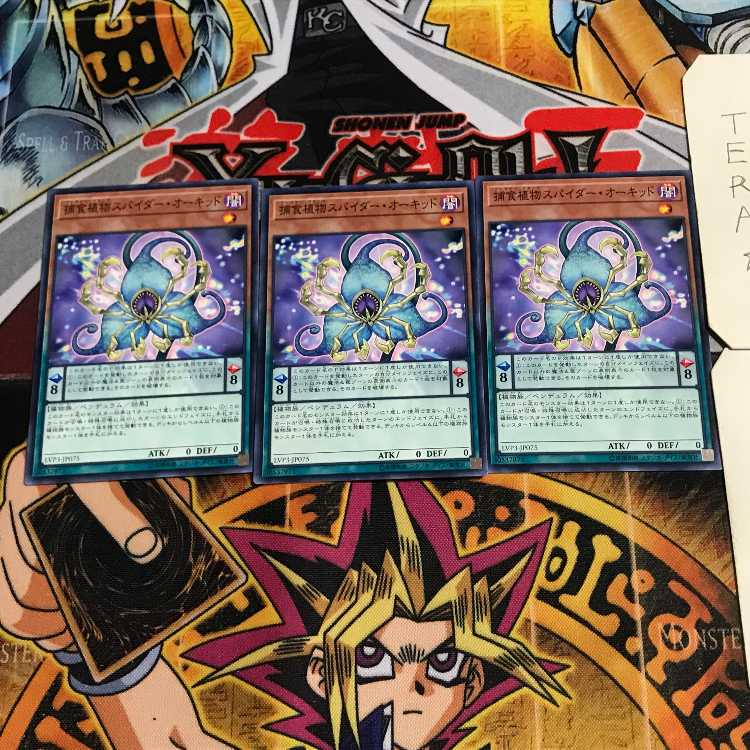 捕食植物スパイダー・オーキッド 2 ノーマル 3枚セット てら