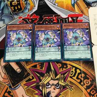 捕食植物スパイダー・オーキッド 2 ノーマル 3枚セット てら