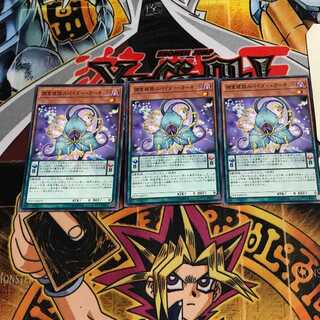 捕食植物スパイダー・オーキッド 3 ノーマル 3枚セット てら