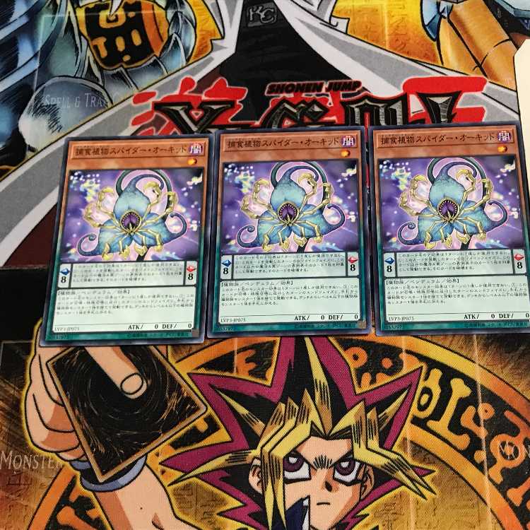 捕食植物スパイダー・オーキッド 4 ノーマル 3枚セット てら