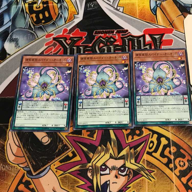 捕食植物スパイダー・オーキッド 7 ノーマル 3枚セット てら