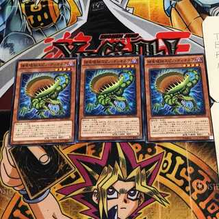 捕食植物スピノ・ディオネア 5 ノーマル 3枚セット てら