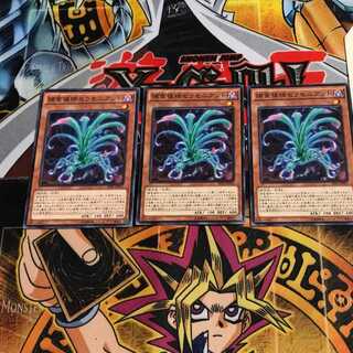 Predaplant Sarraceniant 10 Normal, set of 3 Tera.