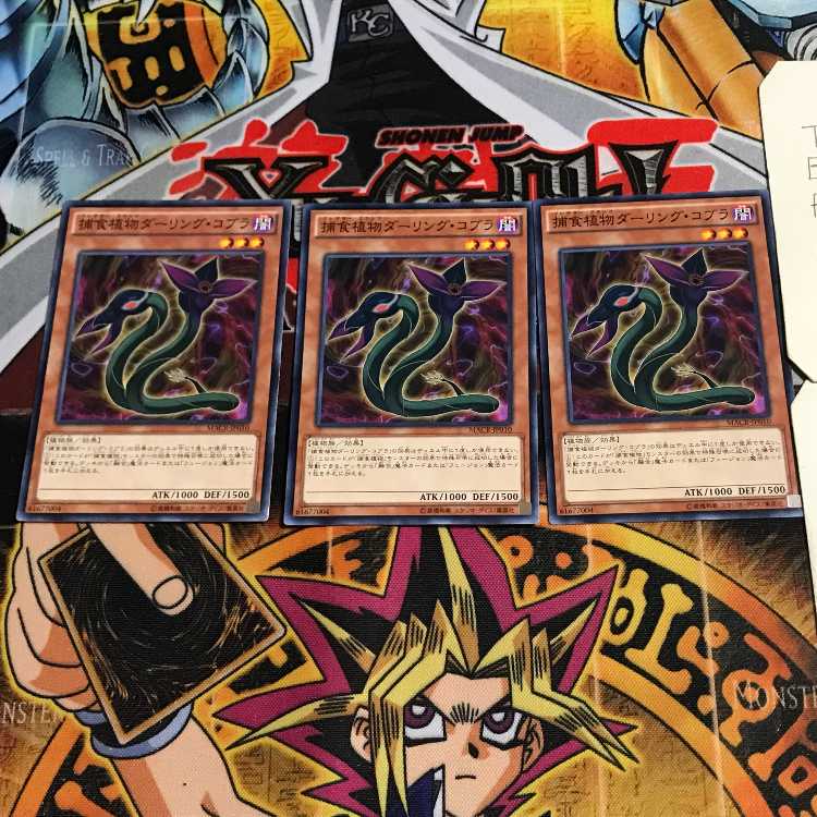 Predaplant Darlingtonia Cobra 1 Normal Set of 3 Tera