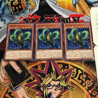 捕食植物ドロソフィルム・ヒドラ 2 ノーマル 3枚セット てら