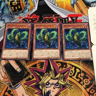 捕食植物ドロソフィルム・ヒドラ 5 ノーマル 3枚セット てら