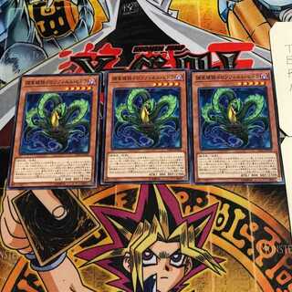 捕食植物ドロソフィルム・ヒドラ 6 ノーマル 3枚セット てら