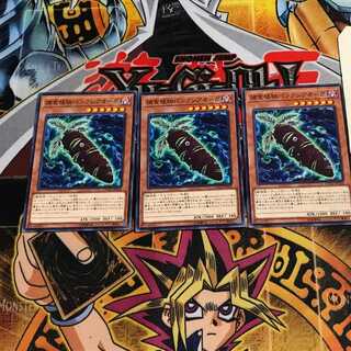 捕食植物バンクシアオーガ 6 ノーマル 3枚セット てら