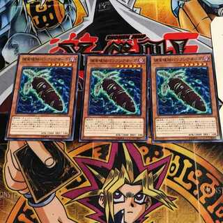 捕食植物バンクシアオーガ 9 ノーマル 3枚セット てら