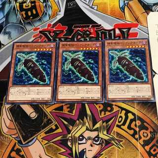 捕食植物バンクシアオーガ 10 ノーマル 3枚セット てら