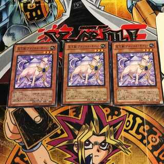 宝玉獣 アメジスト・キャット 1 ノーマル 3枚セット てら