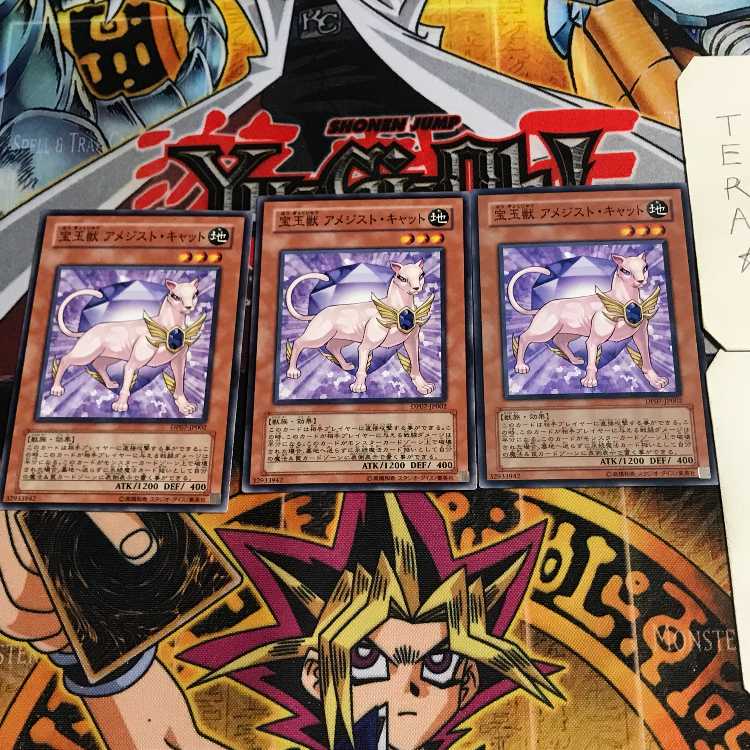 宝玉獣 アメジスト・キャット 3 ノーマル 3枚セット てら