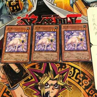 宝玉獣 アメジスト・キャット 4 ノーマル 3枚セット てら