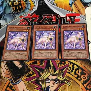 宝玉獣 アメジスト・キャット 6 ノーマル 3枚セット てら