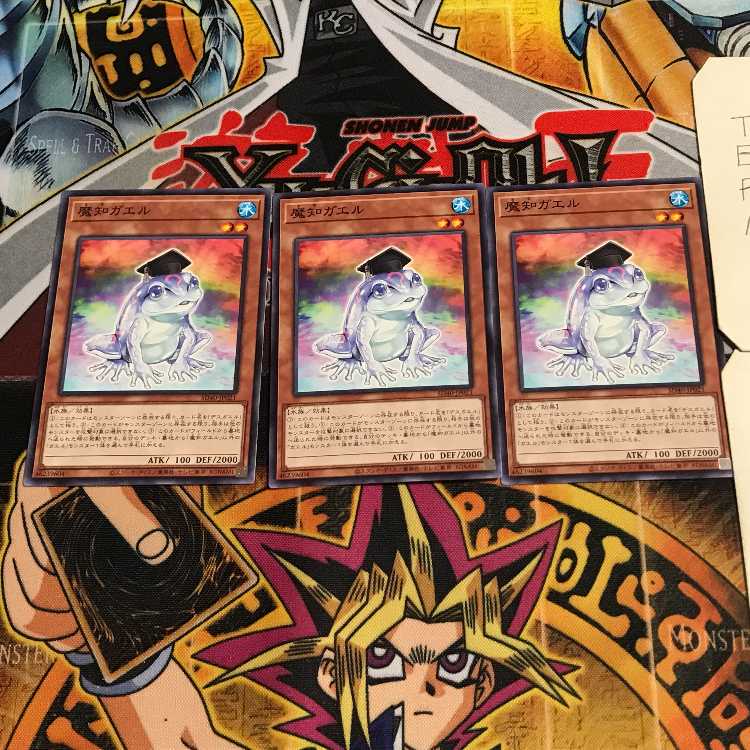 魔知ガエル 5 ノーマル 3枚セット てら