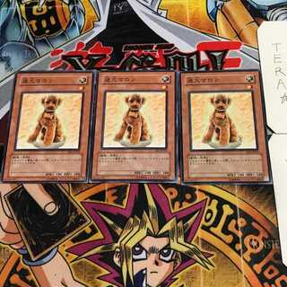 迷犬マロン 6 ノーマル 3枚セット てら