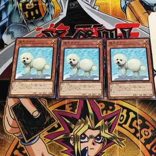 迷犬メリー 1 ノーマル 3枚セット てら