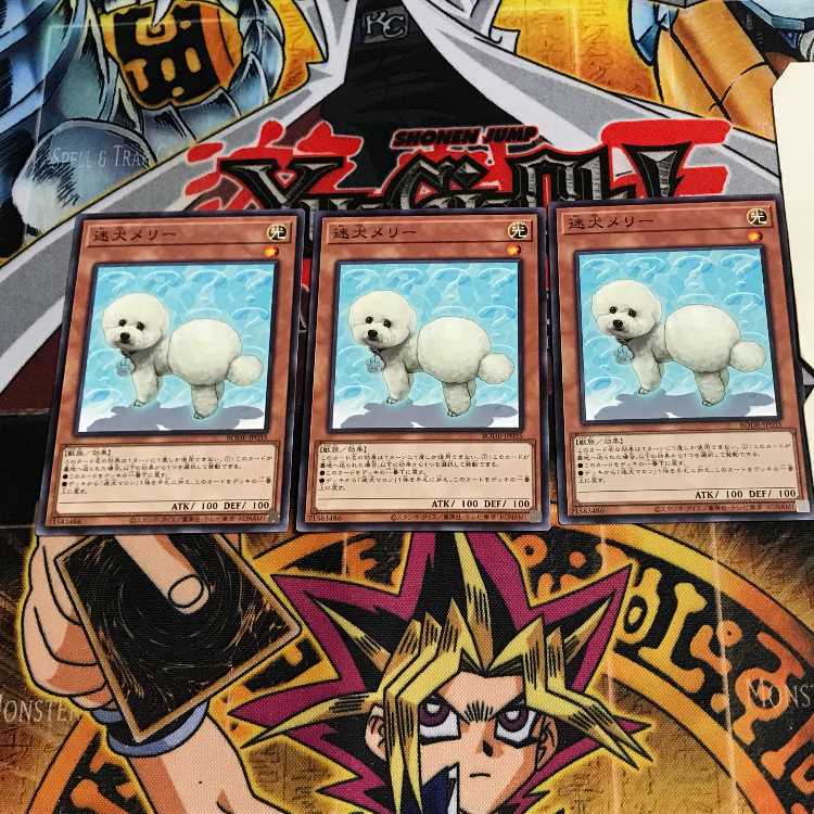 迷犬メリー 2 ノーマル 3枚セット てら