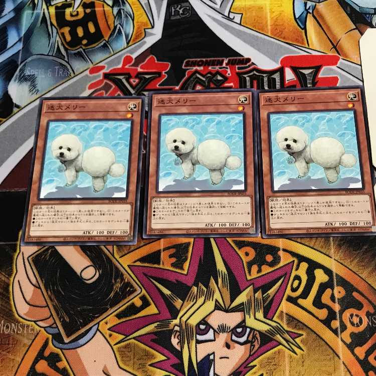 迷犬メリー 4 ノーマル 3枚セット てら