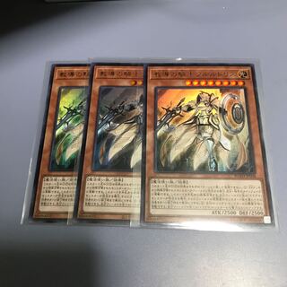 教導の騎士フルルドリス　3枚